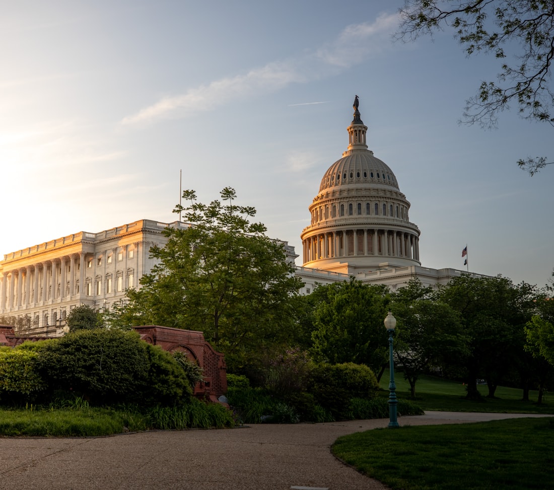 The US Capitol, Washington DC